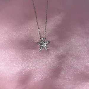 Silver Star Necklace ⭐️